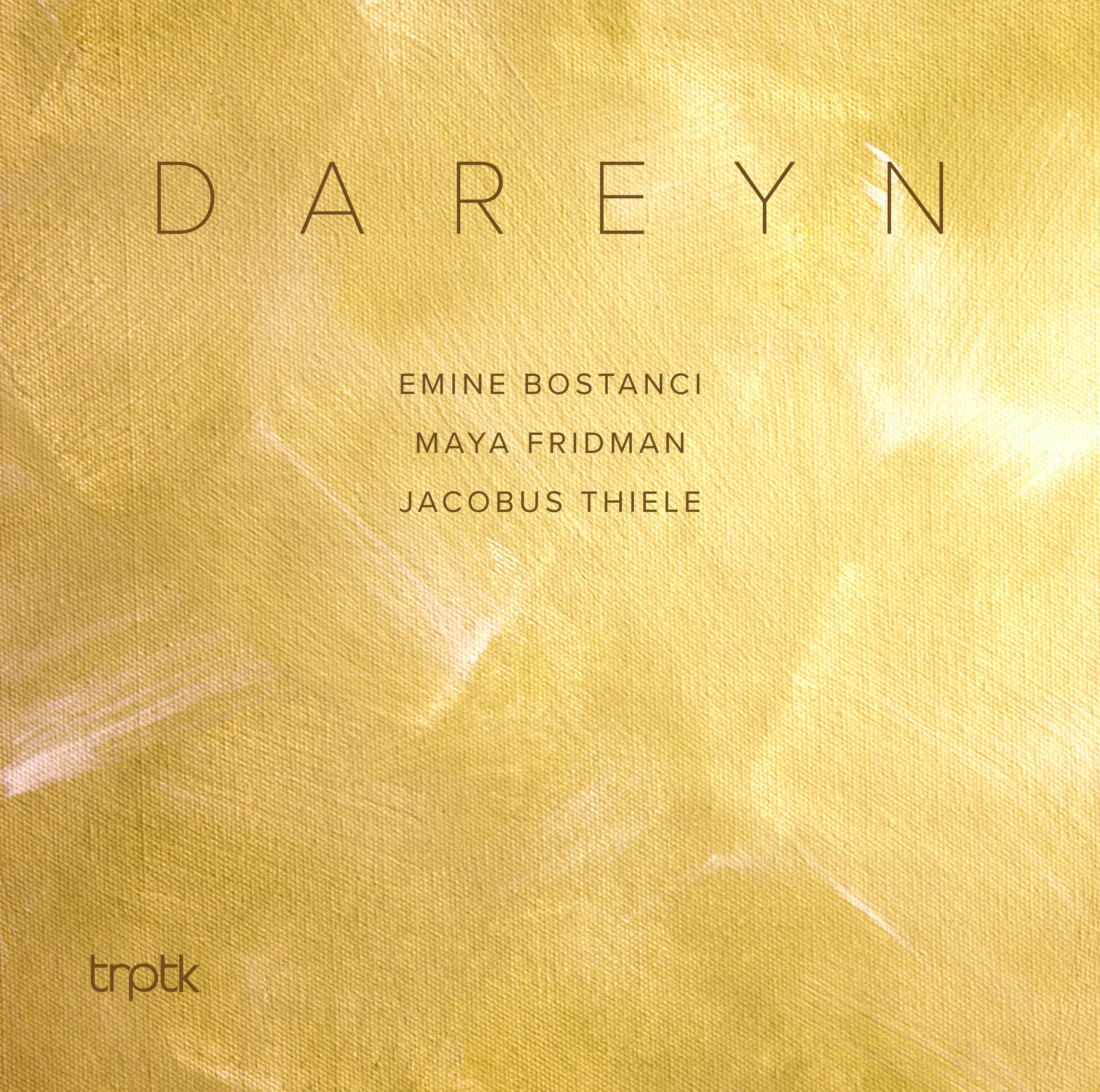 Cover of Dareyn